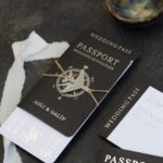 Siyah Pasaport ve Uçak Bileti Davetiye